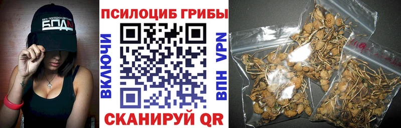 Галлюциногенные грибы Magic Shrooms  Купить где  Югорск 